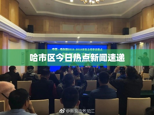 哈市区今日热点新闻速递