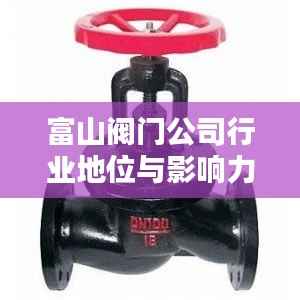 富山阀门公司行业地位与影响力揭秘,排名及影响力不容小觑