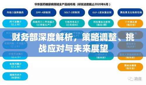 财务部深度解析,策略调整、挑战应对与未来展望