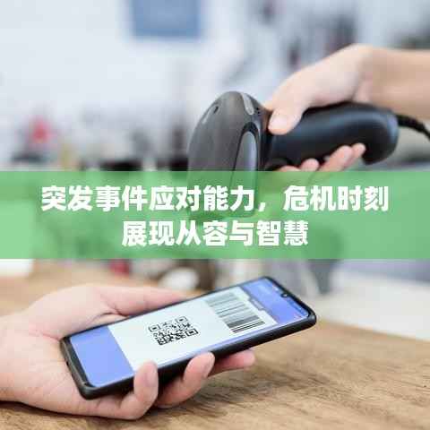 突发事件应对能力,危机时刻展现从容与智慧