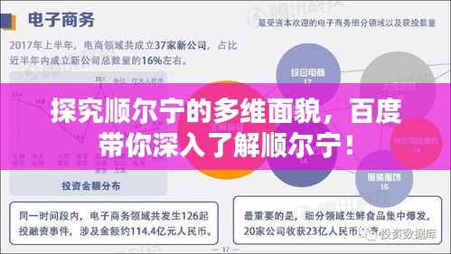 探究顺尔宁的多维面貌,百度带你深入了解顺尔宁!