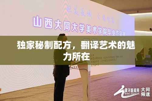 独家秘制配方,翻译艺术的魅力所在