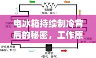 电冰箱持续制冷背后的秘密,工作原理与维护技巧全解析